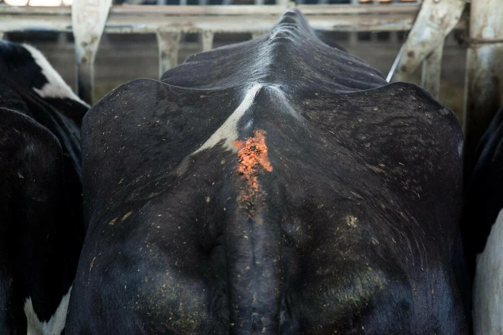 Markal® Dura-Ink® Retractable Ink Marker in Red - Image 2