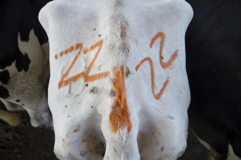 Markal® Dura-Ink® Retractable Ink Marker in Red - Image 4